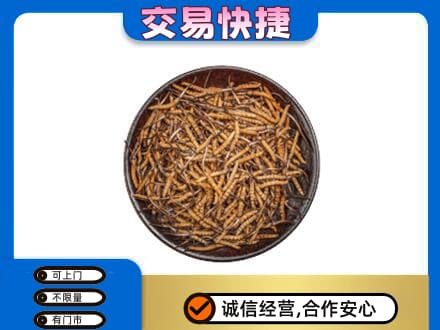 长子县礼品回收虫草.jpg